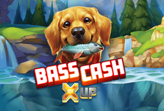 Bass Cash X UP