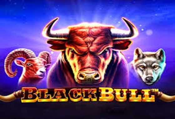 Black Bull