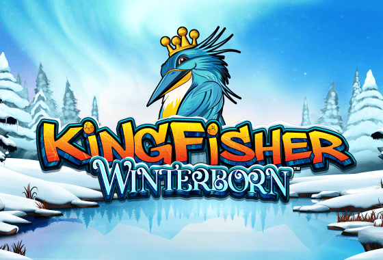 Kingfisher Winterborn