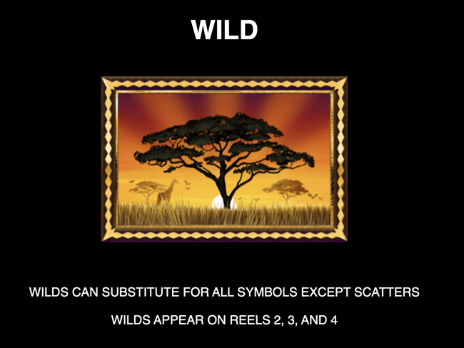 African Quest Wild