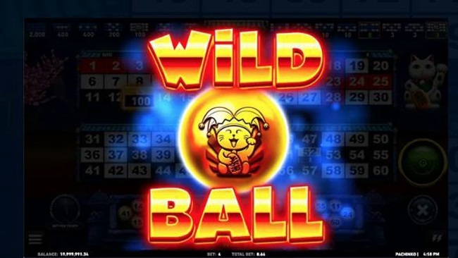 Pachinko wild ball