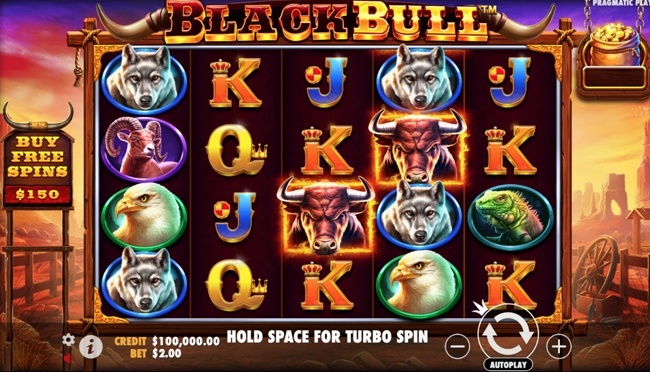 Black Bull start