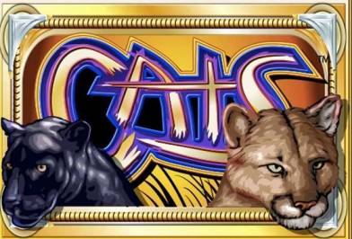 Cats  Online Slot